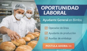 Lee más sobre el artículo Ayudante General en Bimbo