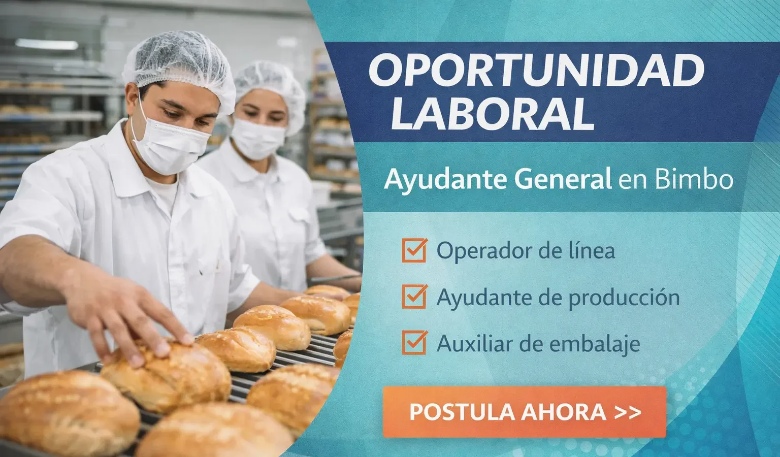 Lee más sobre el artículo Ayudante General en Bimbo