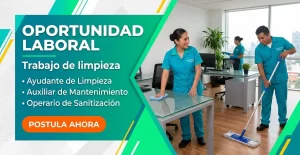 Lee más sobre el artículo Trabajo de limpieza